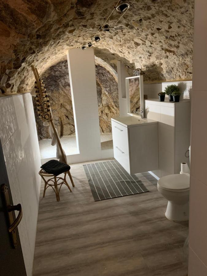 appartement cosy Le Balloon avec wifi Annonay Extérieur photo